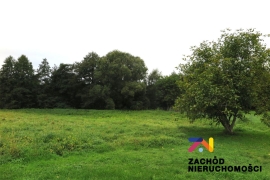 Dom wolnostojący dla osób doceniających naturę